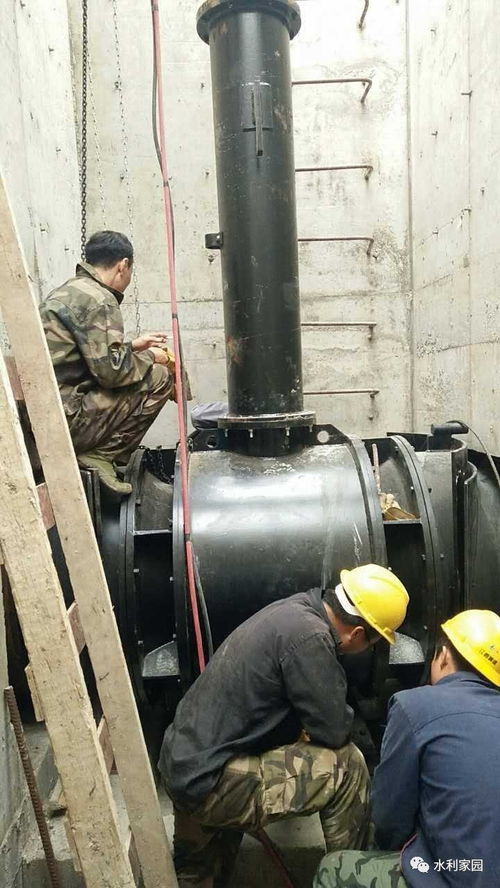 臥式全貫流潛水泵 革新設(shè)計與應(yīng)用前景