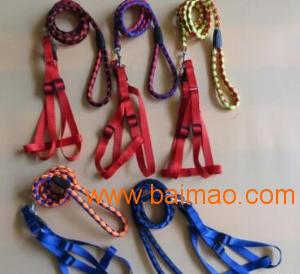 貓狗寵物用品圖冊排版設計 森作文化傳播的專業解決方案